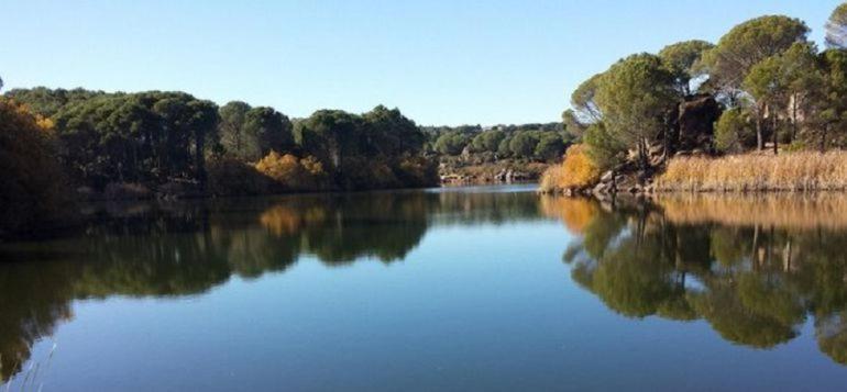 Villa Aljaral, Espectacular,Piscina,Chimenea, Climatizacion, Wifi Kordoba Bagian luar foto
