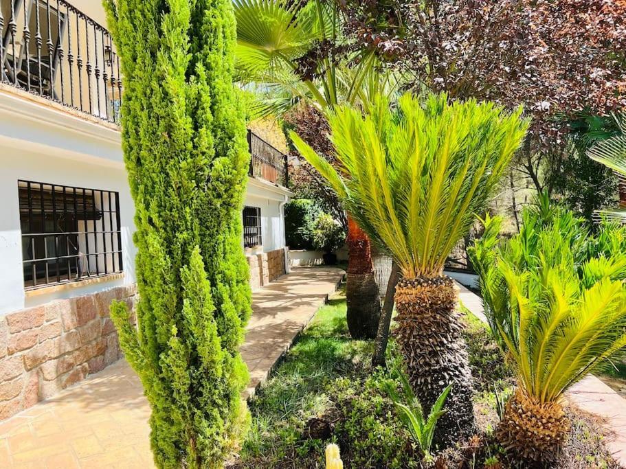 Villa Aljaral, Espectacular,Piscina,Chimenea, Climatizacion, Wifi Kordoba Bagian luar foto